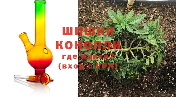 шишки Балабаново