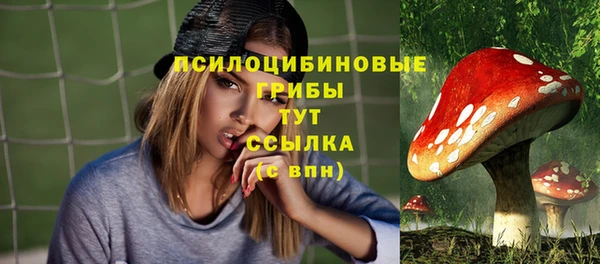 шишки Балабаново
